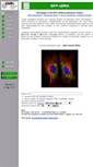 Mobile Screenshot of gfp-cdna.embl.de